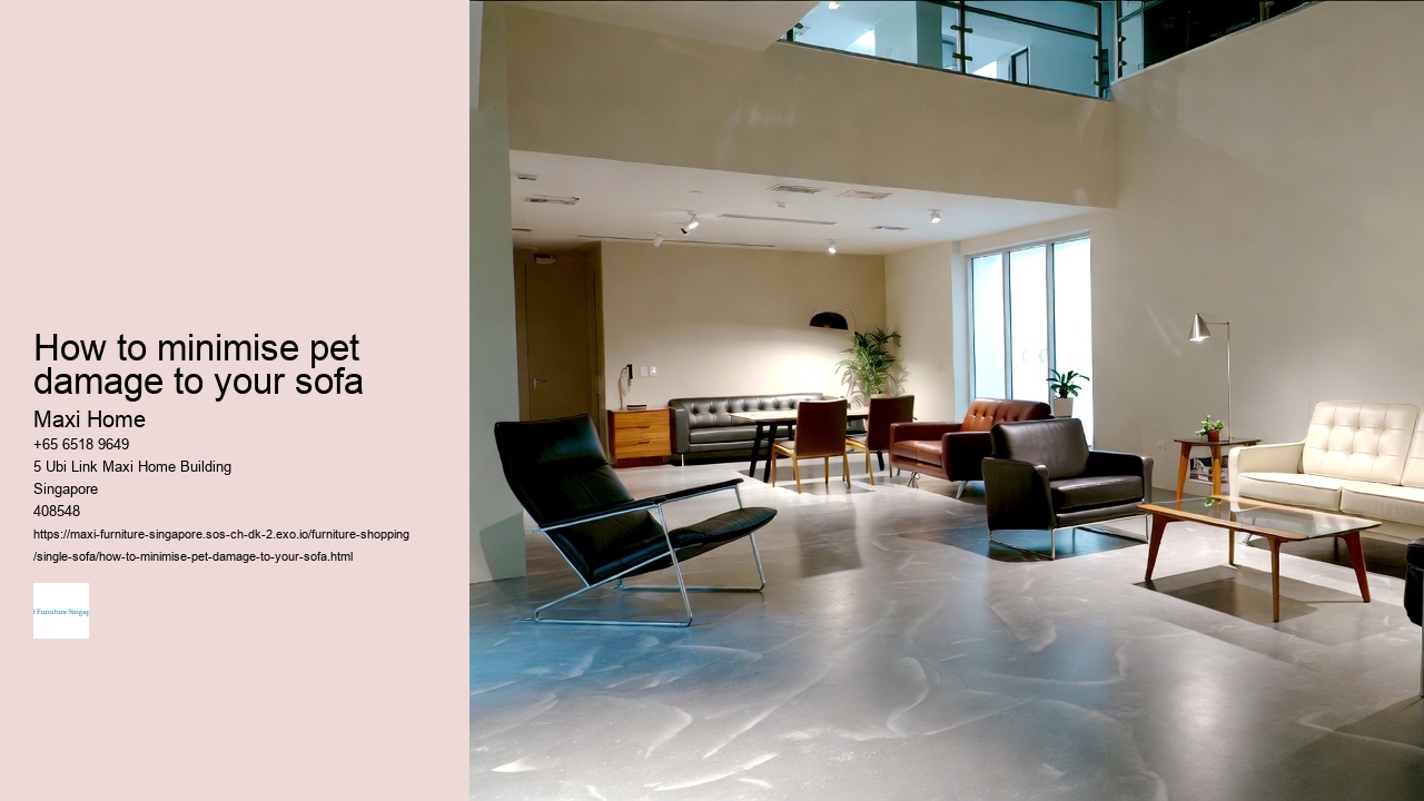 How to minimise pet damage to your sofa Maxi Home How to minimise pet damage to your sofa