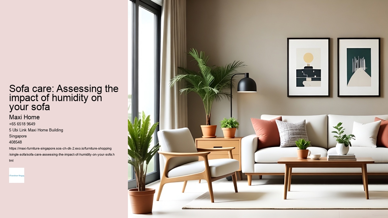 Sofa care: Assessing the impact of humidity on your sofa